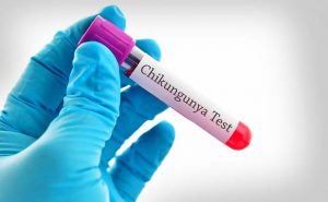Homeopathic Medicine For Chikungunya