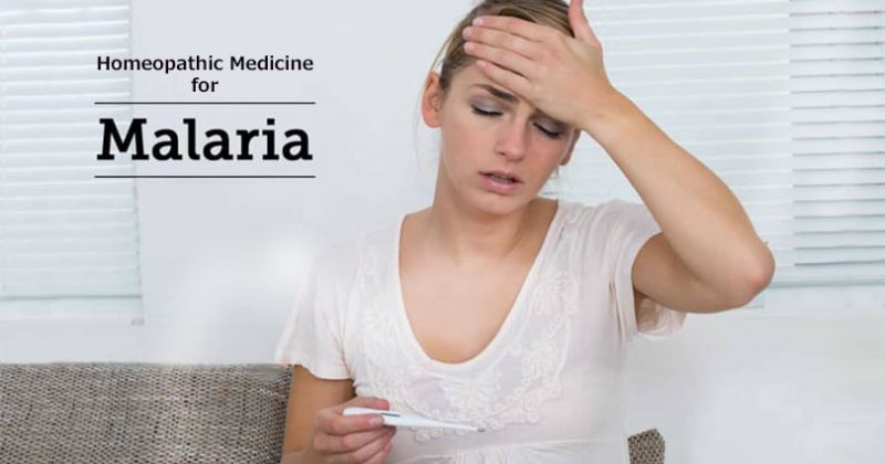 homeopathic medicine for malaria