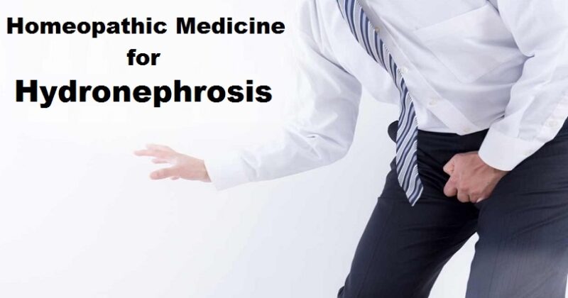 homeopathic medicine for hydronephrosis